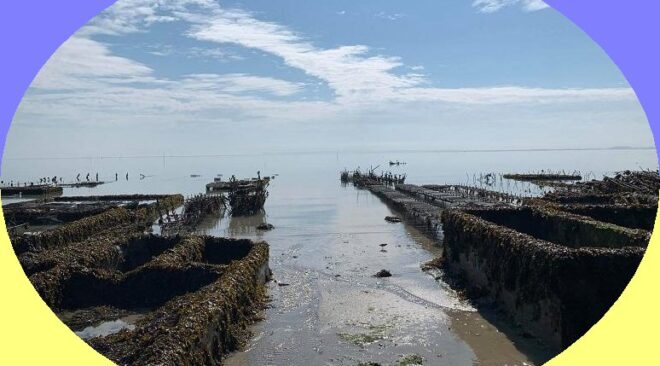 Merci à toute la famille Thomas.