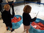 Boucles du coeur Carrefour 2018 3.jpg